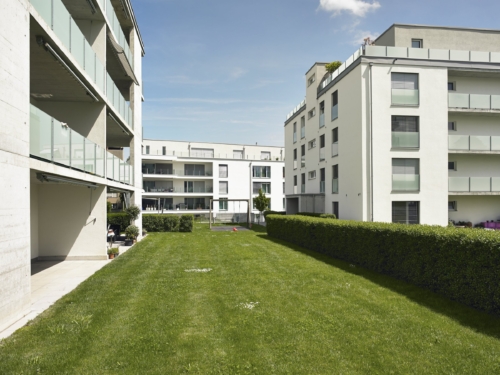VA MFH Wuhrstrasse Amriswil 03